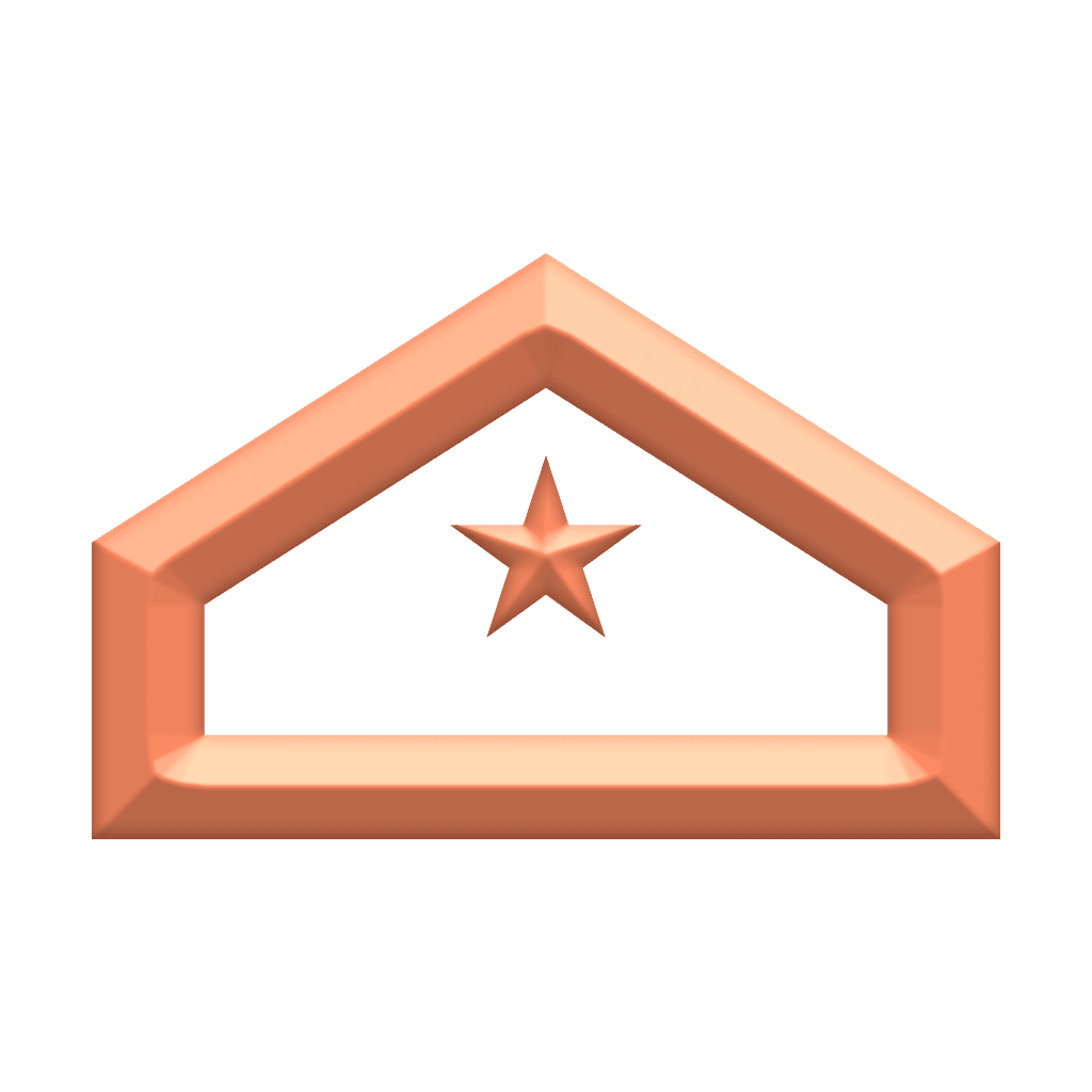 Vanguard I rank insignia