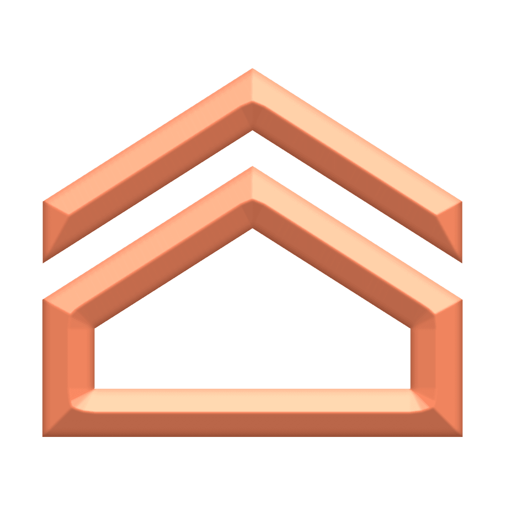 Vanguard IV rank insignia